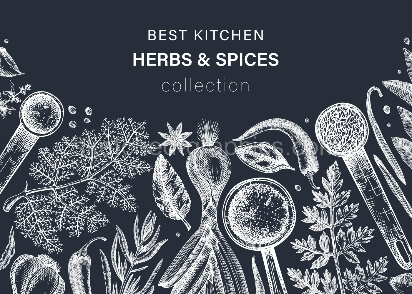 Hand drawn herbs and spices vector banner on chalkboard. Hand-sketched food illustration. Vintage aromatic plants hand-drawing. Kitchen herbs and spice frame template in sketched style. Illustration